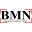 Businessmonkeynews Icon