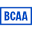 Bcaa Icon