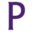 Palmer Icon