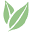 Simple Loose Leaf Icon