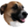 Kevinspacey.com Icon