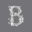 Bskincare.co.uk Icon