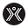 Bsxinsight Icon