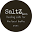 Saltz Icon