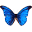 Butterfly & Nature Gift Store Icon
