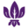 Parkregisbirmingham.co.uk Icon