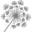 Spontanea Icon