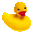 Ducks Only Icon