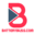 Batterybliss.com Icon