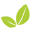 NutriVitaShop Icon