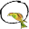 Quirkybydesign.co.uk Icon