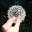 Arrowendeavours Icon