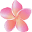 Pure Fiji Icon