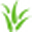The Aloe Source Icon