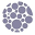 Dixie Botanicals Icon