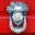 Theamericanschoolofprotocol Icon