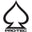 Pro-Tec Icon