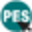 Pes Cpe Icon