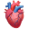 Hiheartbeat Icon