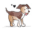 Lifeinabreakdown Icon