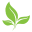 Royalty Health Icon