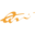 Quest Music Store Icon