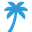 Visitpalmbeach Icon