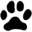 Snow Leopard Icon