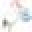 Stork Baby Gift Baskets Icon