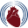 Scct Icon