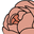 Schaaffloral Icon