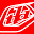 Troy Lee Designs® Icon