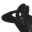 Jensineeckwall Icon