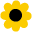Ben White Florist Icon