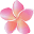 Pure Fiji Icon