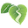 Valley Isle Excursions Icon