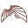 Lonemountainwagyu Icon