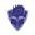 Tolariancommunitycollege Icon