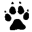 Wolf Icon