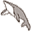 Graywhale Icon
