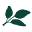 Simply Organic Icon
