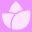 NelaSportswear.com Icon