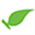 Thecorediet Icon
