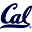 Calbears Icon