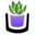 The Succulent Source Icon