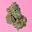 Dopegirlsla Icon