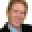 Tomhoefling Icon
