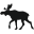 Perlgeek Icon