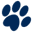Healthy Pets Insurance Icon