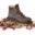 Thedrybootcompany Icon